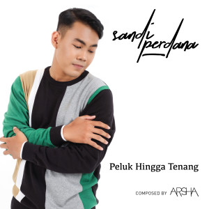 收听Sandi Perdana的Peluk Hingga Tenang歌词歌曲