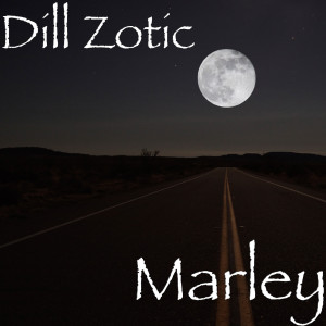 Dengarkan lagu Marley (Explicit) nyanyian Dill Zotic dengan lirik