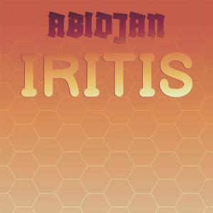 Various Artists的專輯Abidjan Iritis