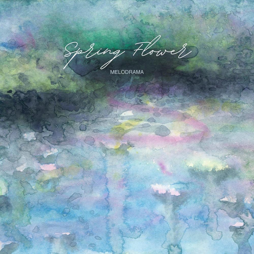 Spring Flower