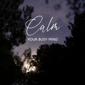 Album Calm Your Busy Mind (Clouds of Eternity, Sleepy Soundscapes) from Deep Sleep Music Academy