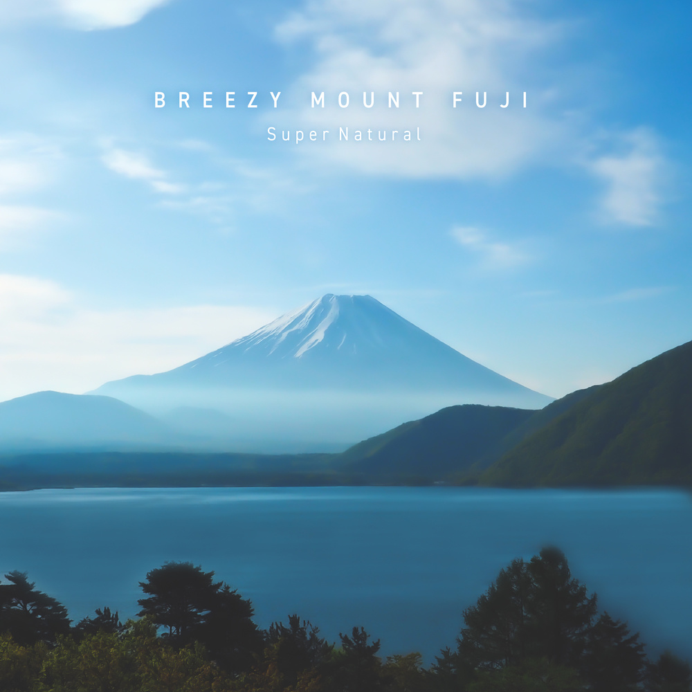 Breezy Mount Fuji