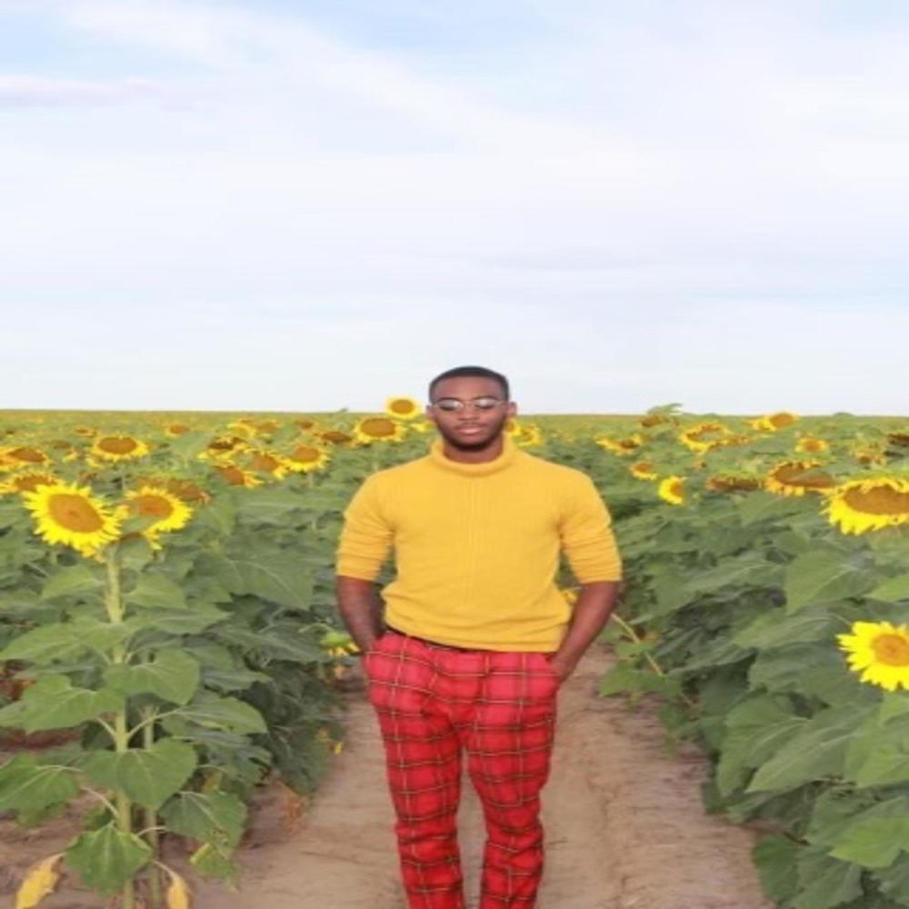 Daffodils