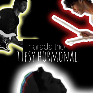 narada trio的專輯Tipsy Hormonal