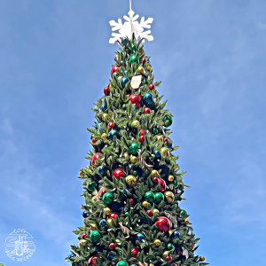 Listen to Christmas Don't Be Late song with lyrics from Mil Dawn