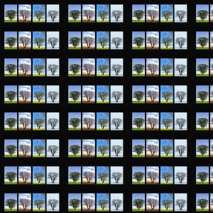 Adrian Walsh的專輯Biennial