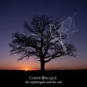 ดาวน์โหลดและฟังเพลง The nightingale and the oak (feat. Fulci) พร้อมเนื้อเพลงจาก Corde Oblique