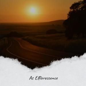 Various的专辑As Efflorescence