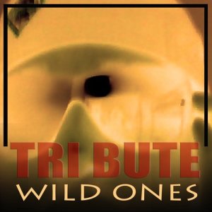 ดาวน์โหลดและฟังเพลง Wild Ones (Flo Rida feat. Sia Tribute) พร้อมเนื้อเพลงจาก The Hit Club
