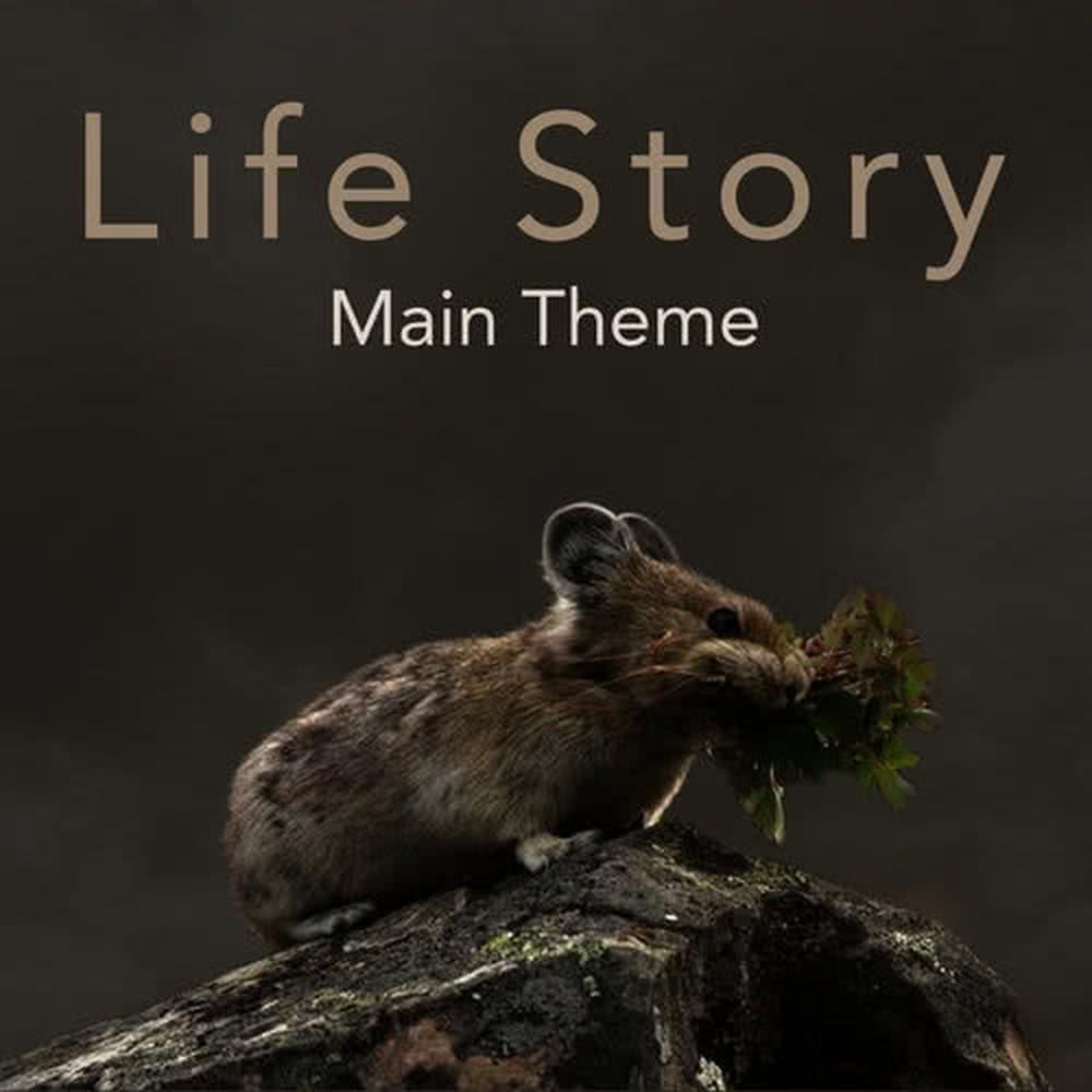 Life Story Main Theme(Cover Version)