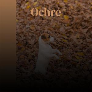 Listen to Apprehensive song with lyrics from Rele Neno