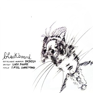 Listen to I Feel Something song with lyrics from Luca Doobie