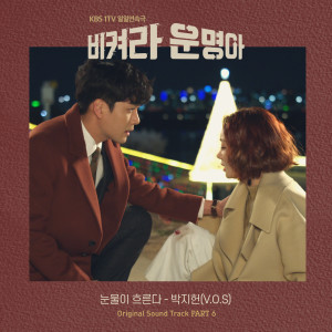Listen to Tears Fall (Inst.) song with lyrics from 朴智宪