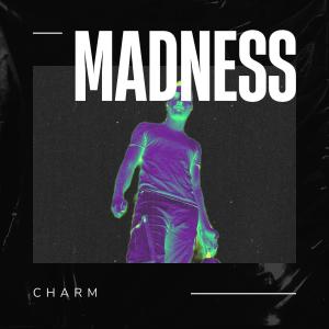 Charm的专辑Madness