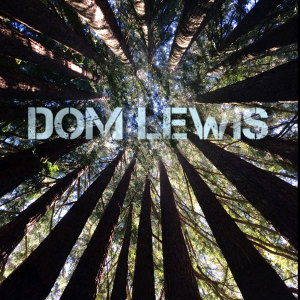 收聽Dom Lewis的Never Let It Go歌詞歌曲