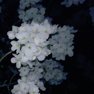 Listen to 7 weeks & 3 days (out of tune piano) song with lyrics from Emptiness