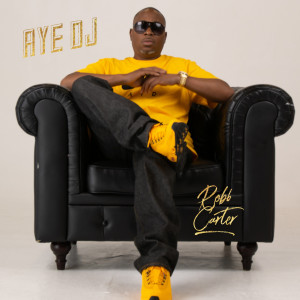 Listen to Aye DJ (Explicit) song with lyrics from Robb Carter
