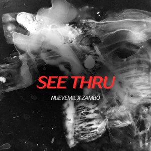 Dengarkan See Thru (Explicit) lagu dari Nuevemil dengan lirik