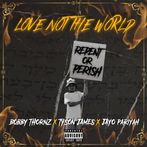 Album Love Not The World (feat. Tyson James & Jayo PariYah) from Tyson James