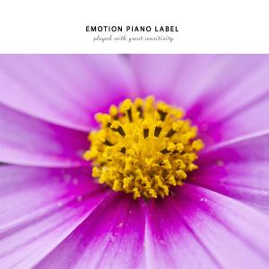 Dengarkan Laughter lagu dari Korea Various Artists dengan lirik