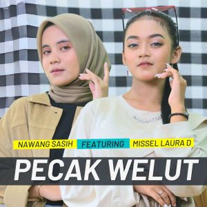 Listen to PECAK WELUT song with lyrics from Missel Laura D