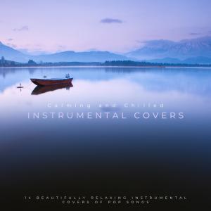 Album Calming and Chilled Instrumental Covers: 14 Beautifully Relaxing Instrumental Covers of Pop Songs from Group Star
