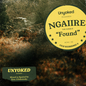 Listen to Found (Stereo) song with lyrics from Ngaiire
