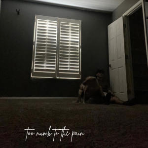 收聽Hutch的too numb to the pain歌詞歌曲
