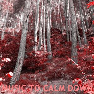 Album Music to calm down from Another World