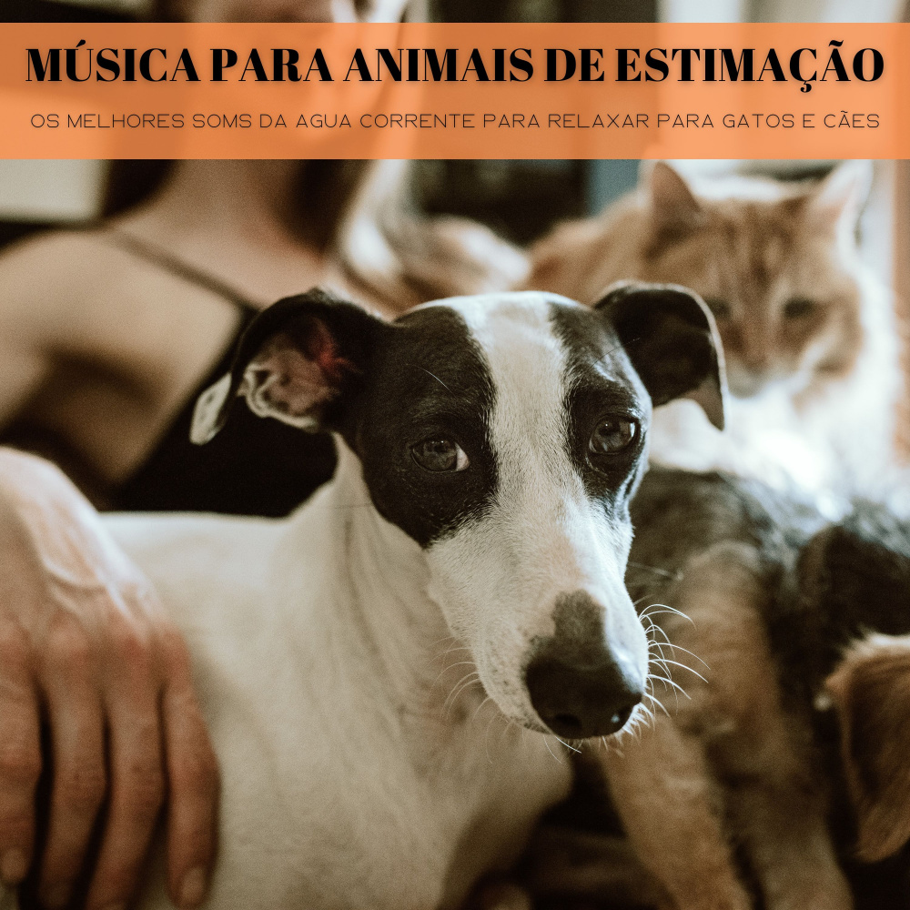 Um Dia Ideal