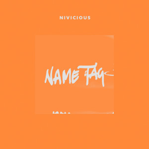 Listen to Let You Down song with lyrics from Nivicious