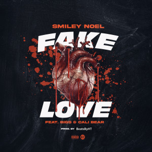 Listen to Fake Love (Explicit) song with lyrics from Smiley Noel
