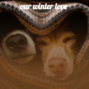 Listen to One Day song with lyrics from Linda Laurie