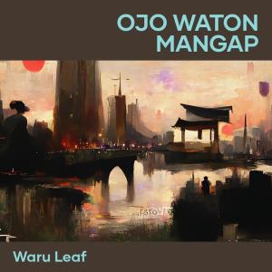 Waru Leaf的专辑Ojo Waton Mangap