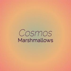 Listen to Thrift Suppleness song with lyrics from Loin Cosa