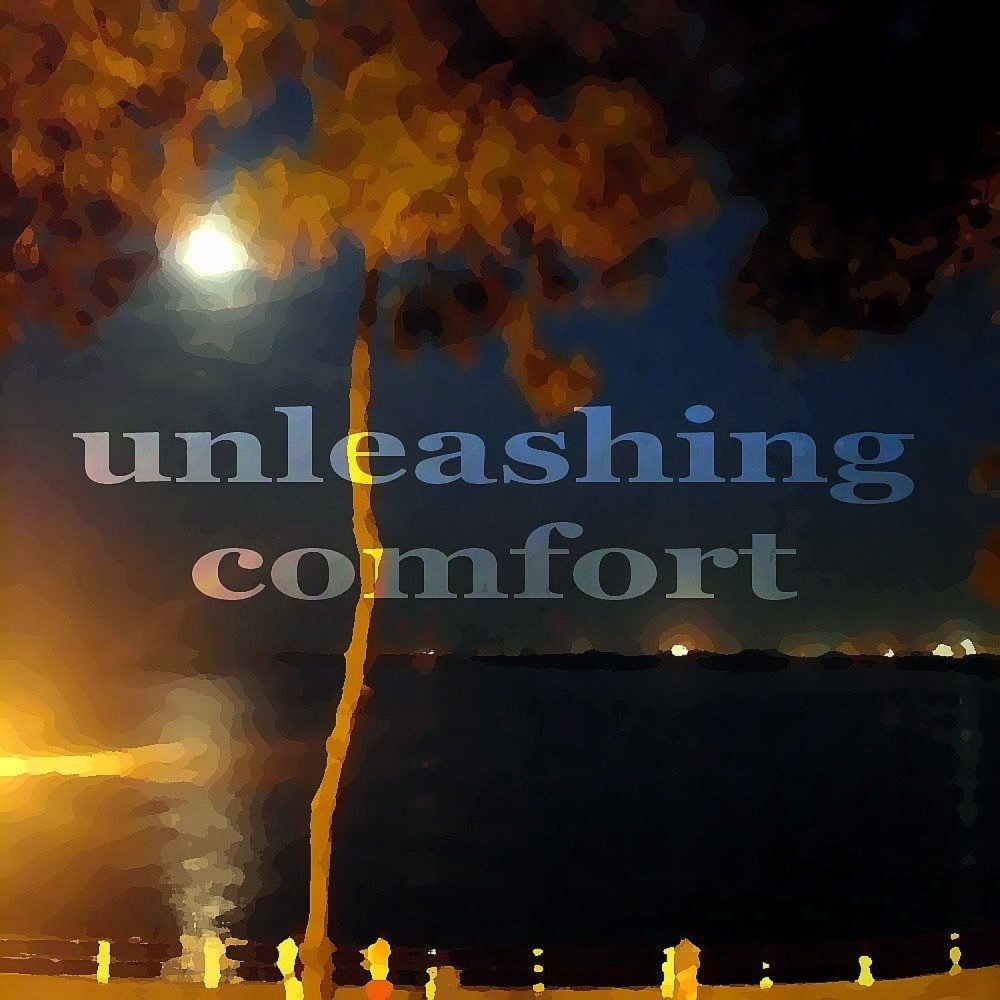 Unleashing Comfort