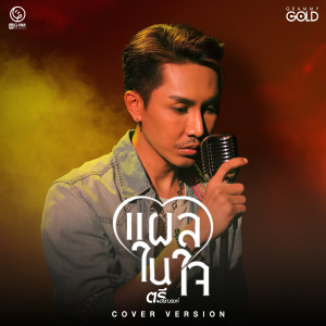 อัลบัม แผลในใจ (COVER VERSION) - Single ศิลปิน ตรี ชัยณรงค์