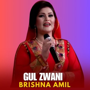 Album Gul Zwani from Brishna Amil