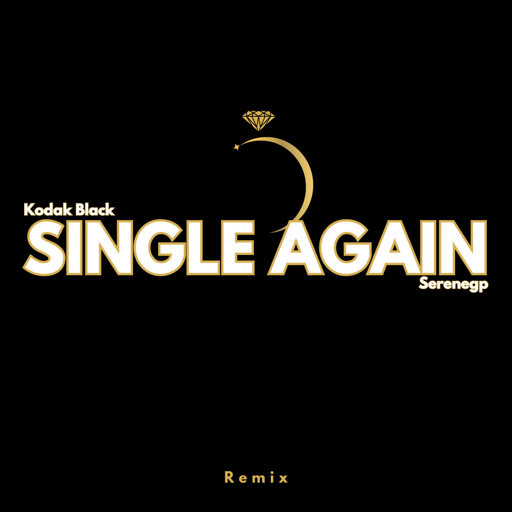 Kodak Black - Single Again