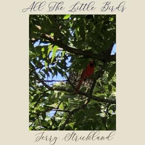 ดาวน์โหลดและฟังเพลง All The Little Birds พร้อมเนื้อเพลงจาก Jerry Strickland
