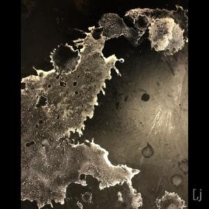 Listen to Liatris 22 song with lyrics from [,j