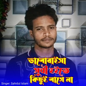 Album Valobaisha Shukhi Hoite Kisui Lage Na from Sahidul Islam