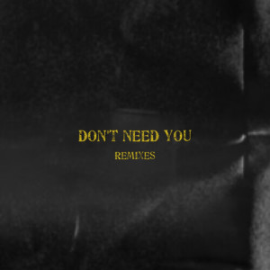 Album Don't Need You (Remixes) [Explicit] oleh KingTrey