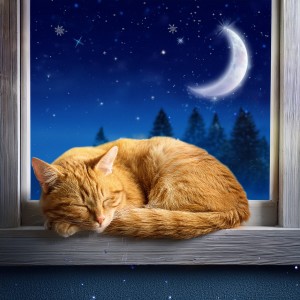 ดาวน์โหลดและฟังเพลง Las Cuerdas Tranquilizan La Mente Del Gato พร้อมเนื้อเพลงจาก Música fácil de domingo por la mañana