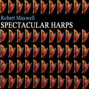 ดาวน์โหลดและฟังเพลง The Simple Things พร้อมเนื้อเพลงจาก Robert Maxwell