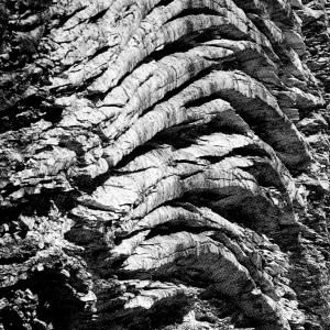 Album Montsalvatsche from RAUM