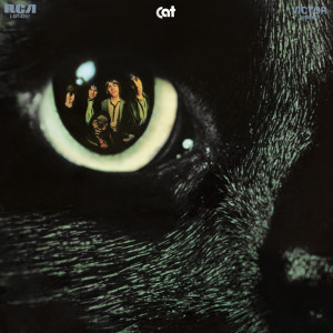 ดาวน์โหลดและฟังเพลง Light of Love พร้อมเนื้อเพลงจาก Cat
