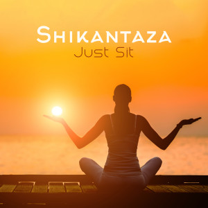收听Calming Music Sanctuary的Relieve Stress歌词歌曲