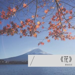 Album 《花》 from 夏语迟迟