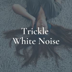 Album Trickle White Noise oleh Sounds of the Womb